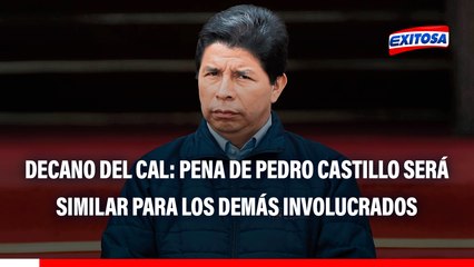 Caso Golpe de Estado: "La pena que tenga Pedro Castillo será similar para los demás involucrados", asegura decano del CAL