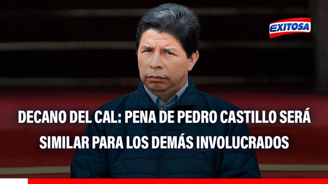 Caso Golpe de Estado: La pena que tenga Pedro Castillo será similar para los demás involucrados , asegura decano del CAL