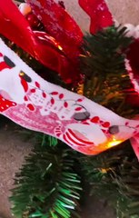 Ελένη Φουρέιρα: Μας έβαλε στο υπέροχο σαλόνι της για να μας δείξει το χριστουγεννιάτικο δέντρο