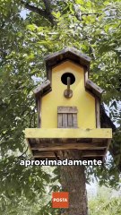 Invierno en las Grutas de Bustamante: una escapada ideal para ver formaciones milenarias sin sufrir el clima