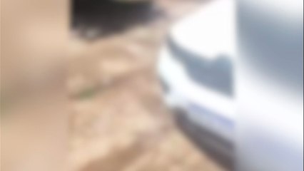 Imagens de celular mostram pai tentando colocar filha à força dentro do carro em Cascavel