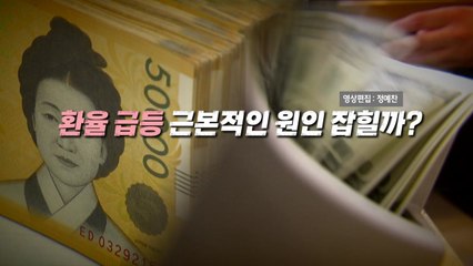 [영상] 한은, 또 기준금리 동결...고환율 '서학 개미' 탓? / YTN
