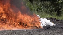 Incineración de 1.450 kilos de cocaína en República Dominicana gracias a la operación Lanza del Sur