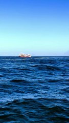 Ocean and Fishing #fishinglife#fisheryboat