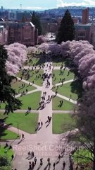 Baby Please Don't Marry Him  reel