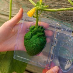 Please your inner gardener with these planting hacks!