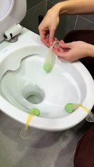 Homemade Toilet Freshener You’ll Love #fblifestyle