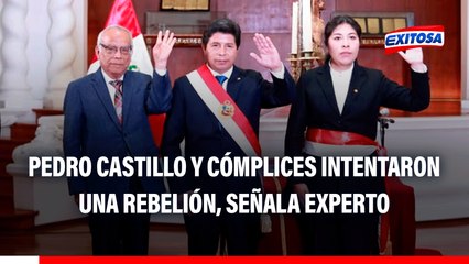 Pedro Castillo CONDENADO: Expresidente y cómplices intentaron una REBELIÓN, señala experto