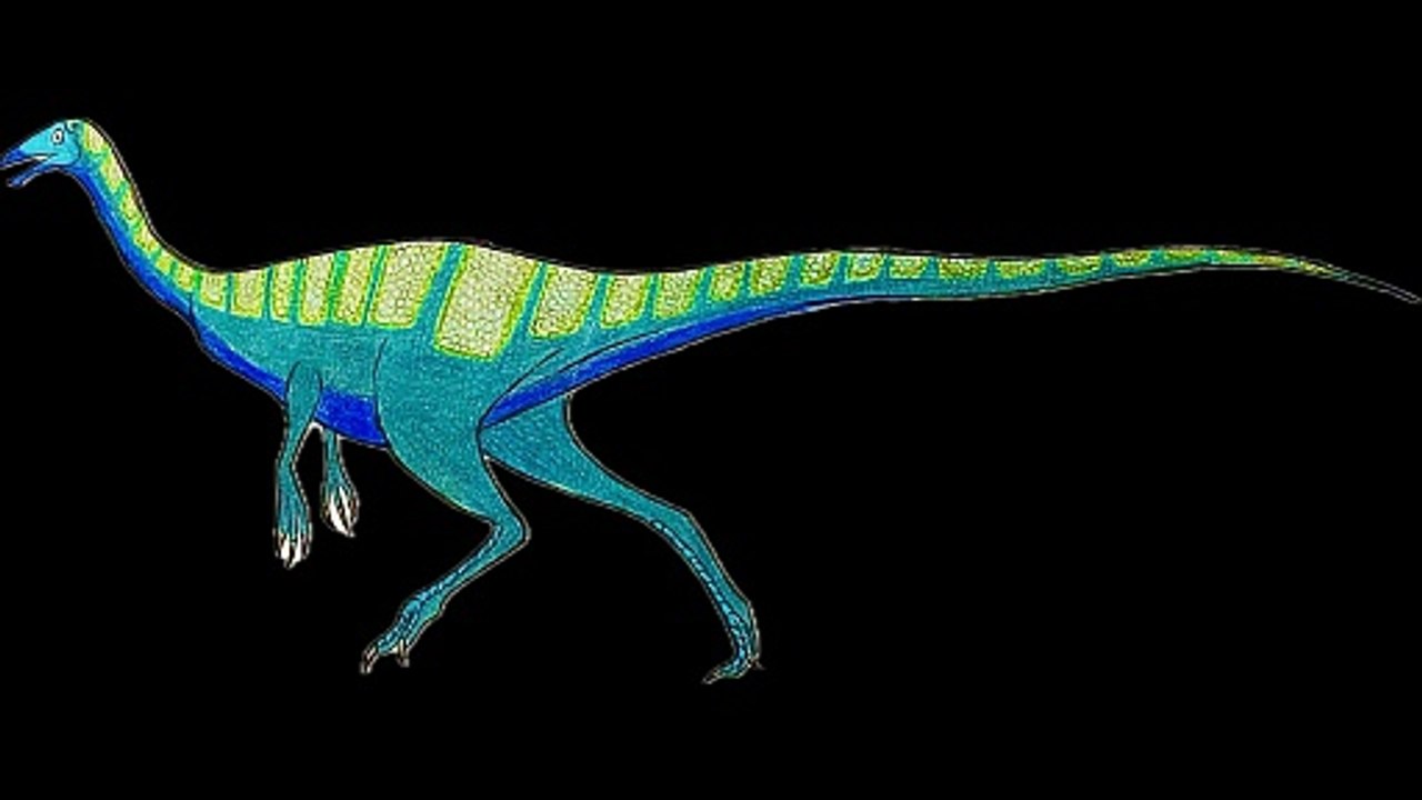 Dinosaur sounds part 18 (video)