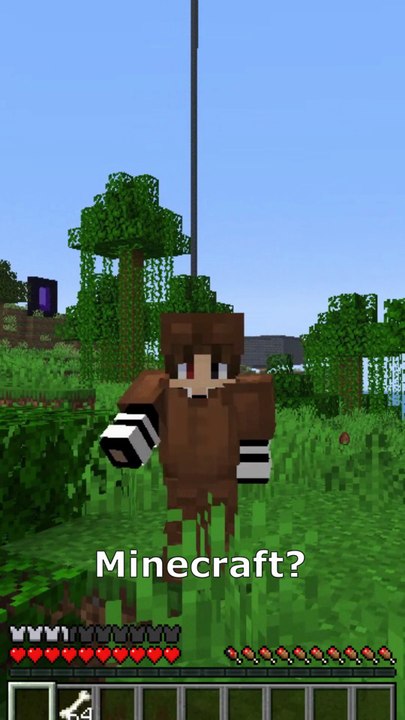 como domesticar a un perro en minecraft