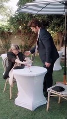 Married for Four Years, Yet My CEO Husband Hired Me as His Divorce Lawyer-!