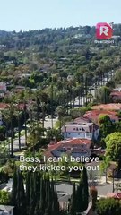 Watch Out! She's a Mastermind Heiress EP1-10 | ReelShort