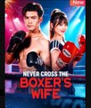 Never Cross the Boxer's Wife Chinese Drama - English Sub