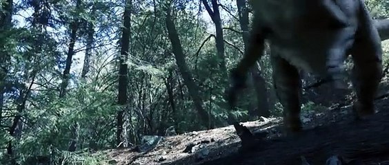 HELL CREEK _ Sci-Fi Horror _ Dinosaur Short Film