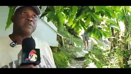 MISTAKEN IDENTITY KILLED VISITORS