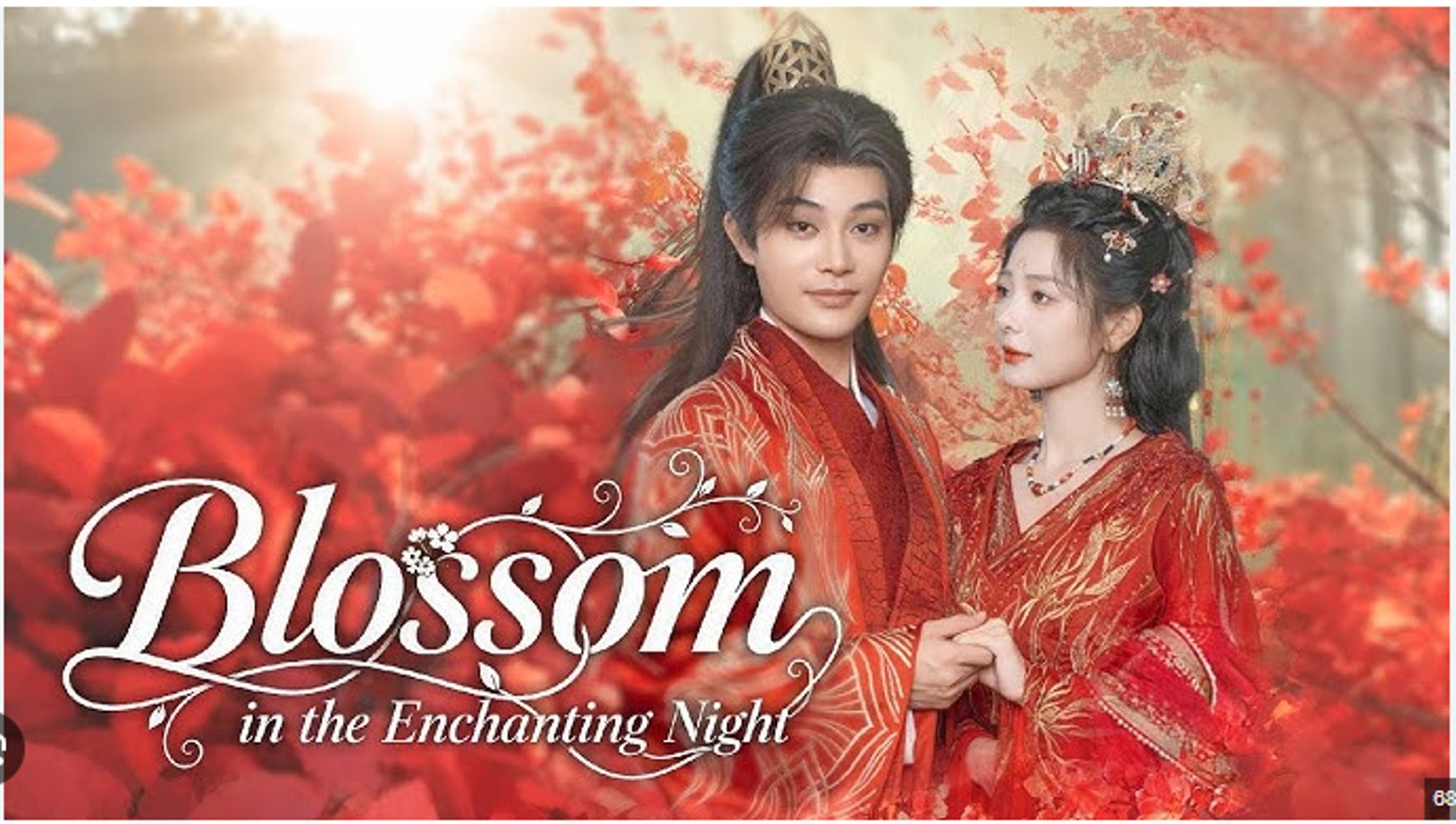 Blossom in the Enchanting Night Chinese Drama - English Sub
