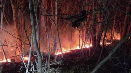 충남 태안에서 산불 잇따라...인명 피해 없어 / YTN