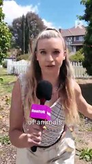 Backstage: Pregnant by My Ex's Professor Dad | Jesse Morales and Tess Dinerstein | ReelTalk EP 34