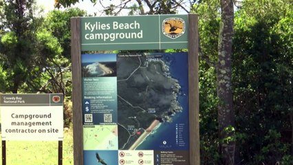 Man and woman attacked by shark in NSW confirmed as Swiss tourists