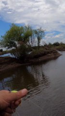 Pescando con linea de mano y boya!