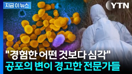 "건강한 사람도 죽음에 이를 수도"...심각한 대유행 경고 [지금이뉴스] / YTN