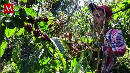 Nueva Ley de Aguas Nacionales: por qué los campesinos rechazan la reforma hidráulica