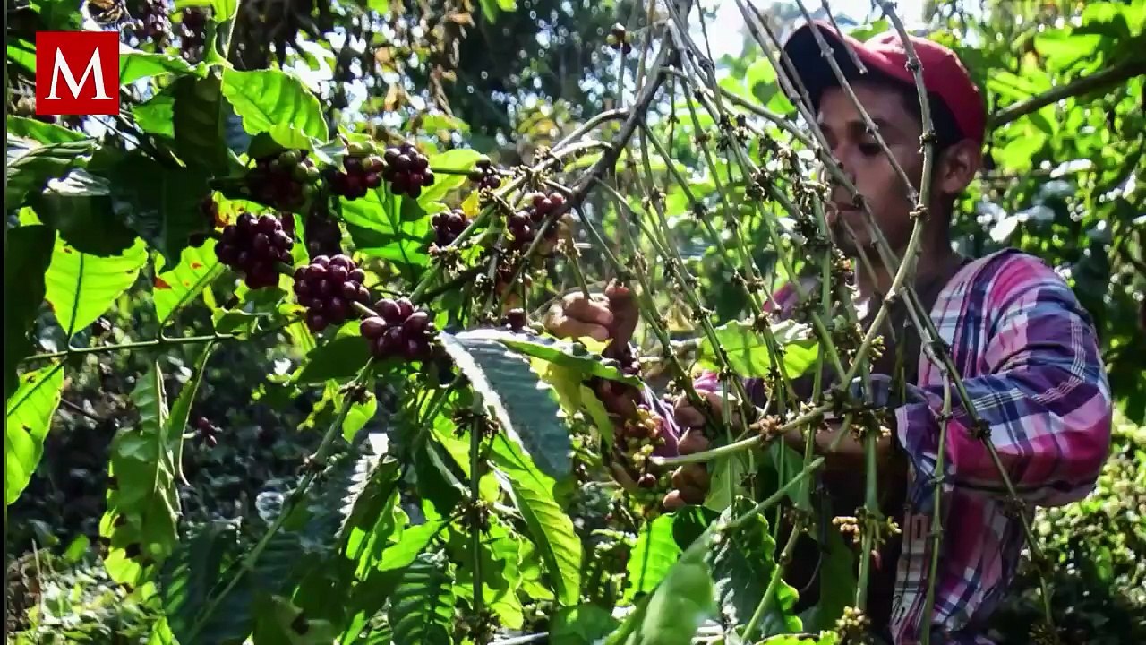 Nueva Ley de Aguas Nacionales: por qué los camp...