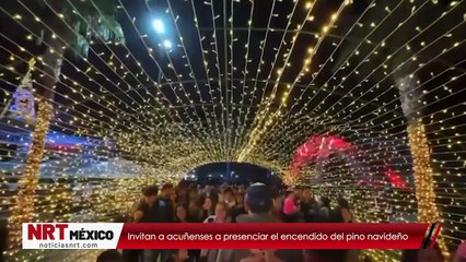 Invitan a acuñenses a presenciar el encendido del pino navideño