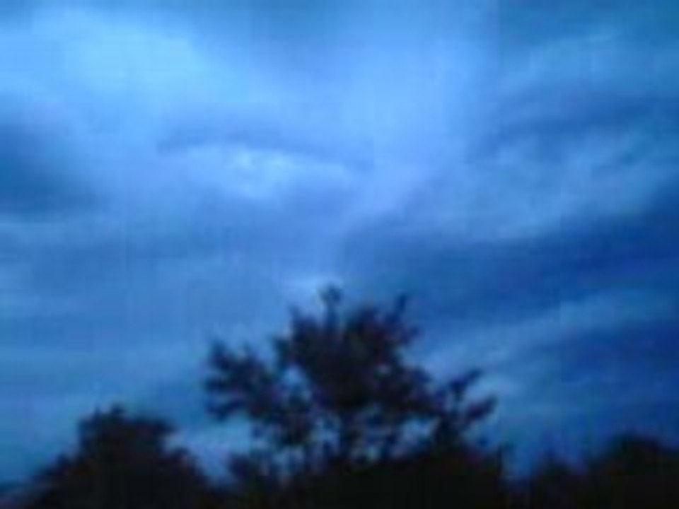 Allax_Looking