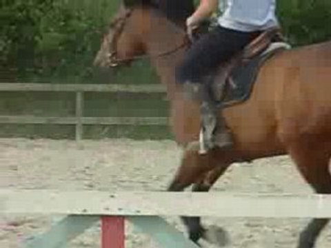 Moi + Diva ex° galop