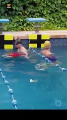 Poolboy (2025) - FULL  Reelshort