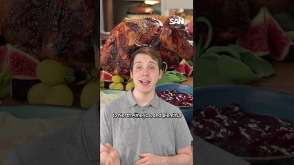 From pilgrims to parades: the real story behind Thanksgiving