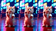 😻 Dancing Kittens in Sync! ✨ Funny Cats Video 💃🐱💫 Cintai rosul - Kucing Joget Lucu