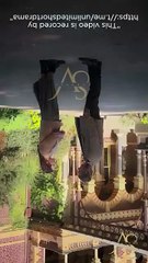 Love at First Bite - Reunited with My Three Billionaire Brothers #shortfilm