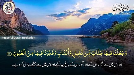 surah yaseen with translation qari sab