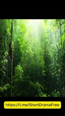 I Had a Baby without You USA #ReelShort