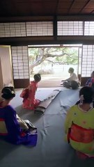 Midnight Siren - Time's Prisoner, Love's Captive #Dramabox