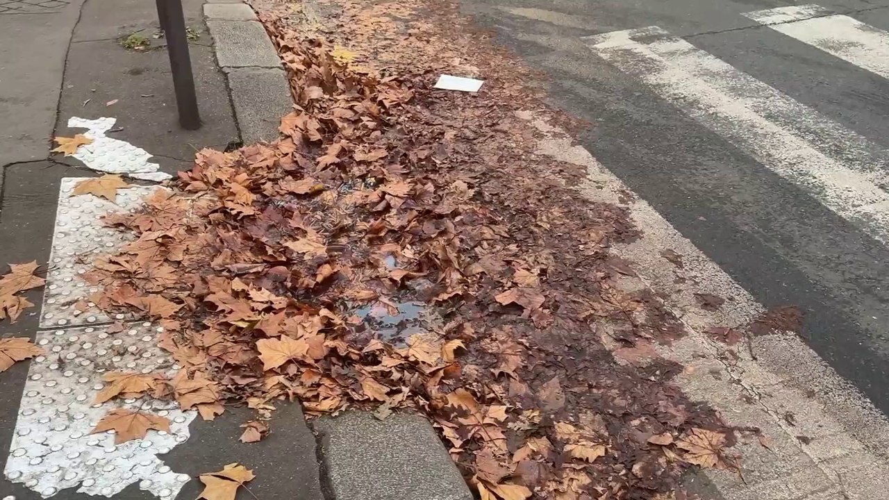 Qui est responsable du nettoyage des feuilles mortes sur la chaussée ?