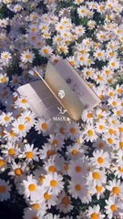 Kabe Ki Rounak Kabe ar