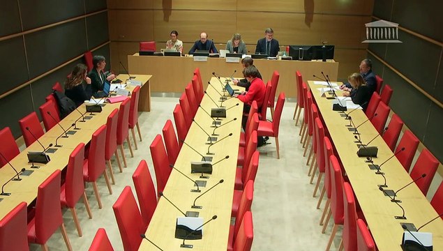 Baisse de la natalité en France : Mme Albane Gaillot, co-directrice du Mouvement français pour le planning familial ; Mme Bérangère Couillard, présidente du Haut-Conseil à l’égalité entre les femmes et les hommes (HCEFH) - Jeudi 27 novembre 2025