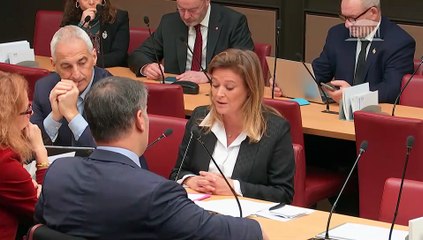 Commission des affaires économiques :  M. Frédéric Merlin, président du groupe Société des Grands Magasins (SGM) - Mercredi 26 novembre 2025