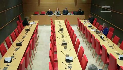 Baisse de la natalité en France : Mme Corinne Luxembourg, professeure en géographie et aménagement à l’Université Sorbonne Paris Nord ; M. Olivier Rey, philosophe - Jeudi 27 novembre 2025