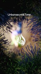 Like share and repost