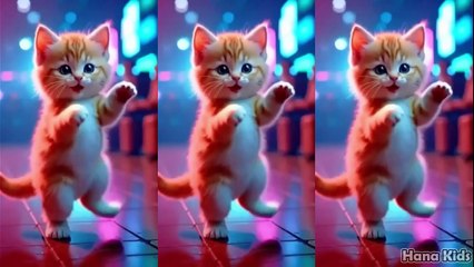 😻 Dancing Kittens in Sync! ✨ Funny Cats Video 💃🐱💫 kasih ibu kepada beta - Kucing joget lucu