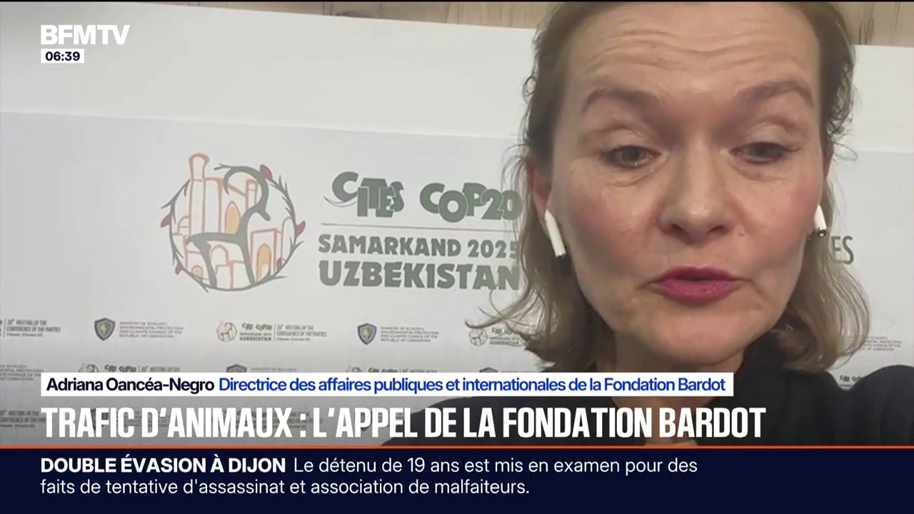 La COP de la CITES de Samarcande en Ouzbékistan aborde le trafic d'animaux et de plantes sauvages
