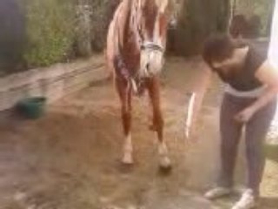 Video021