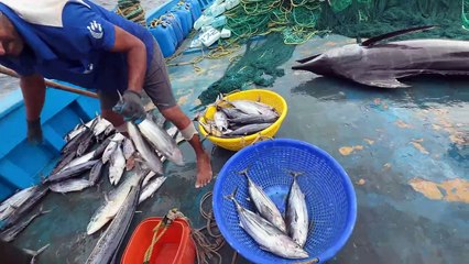 Chasing Giants in the Gulf — Elite Deep-Sea Fishing Experience