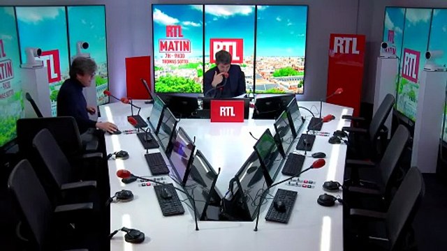 Les chiens, enjeu de la campagne des Municipales 2026