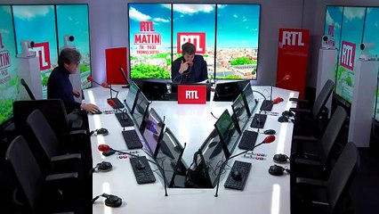 Les chiens, enjeu de la campagne des Municipales 2026