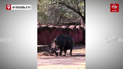 ദിനോസറുകള്‍ ഇപ്പോഴും വാഴുന്നൊരിടം; നൈല്‍ നദിയിലെ പല്ലികളുടെ പ്രജനന കേന്ദ്രം, ഏഷ്യയിലെ ഏറ്റവും മികച്ച ഈയിടം ഇന്ത്യയില്‍